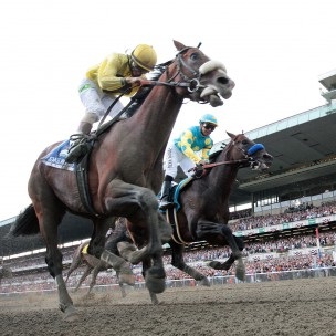 Horse Racing Day